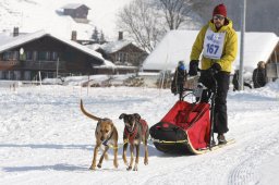 Lenk 2012 SM